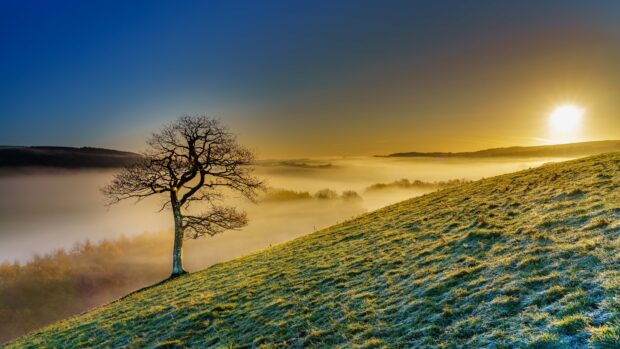 Sunrise over the village
